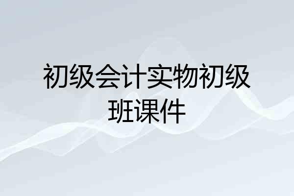 初级会计实物初级班课件