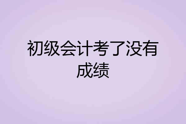 初级会计考了没有成绩