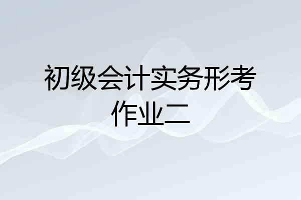 初级会计实务形考作业二