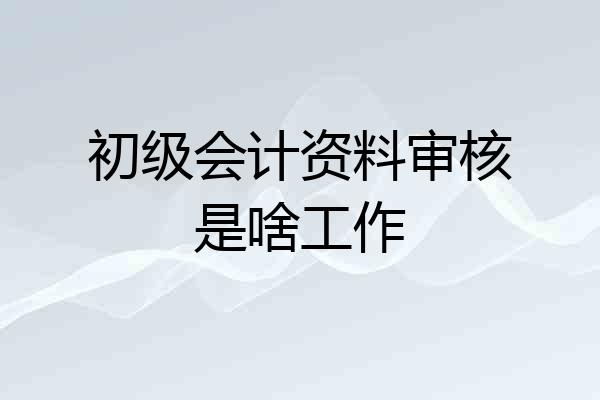 初级会计资料审核是啥工作