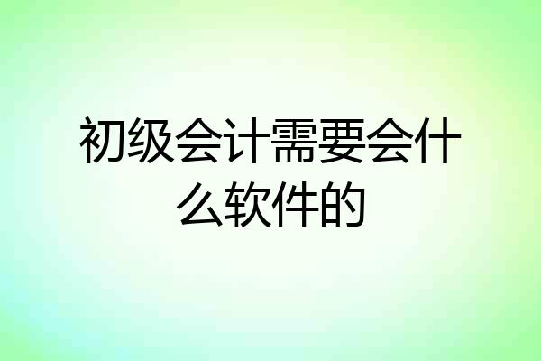 初级会计需要会什么软件的