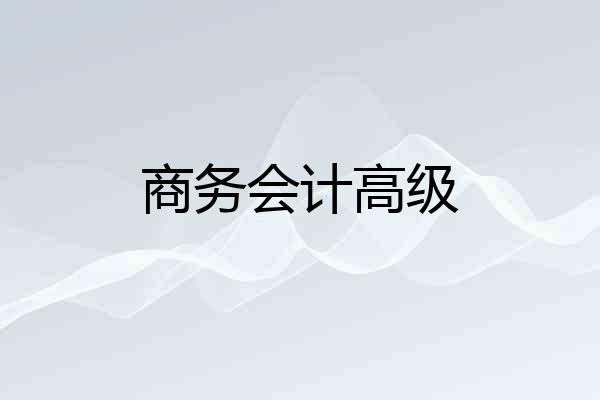 商务会计高级