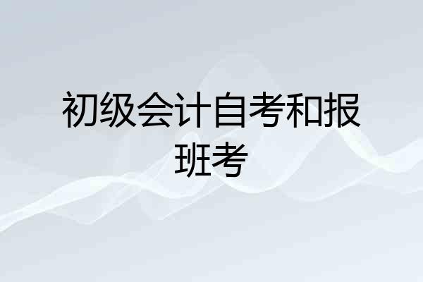 初级会计自考和报班考