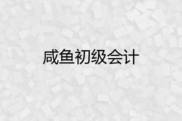 咸鱼初级会计
