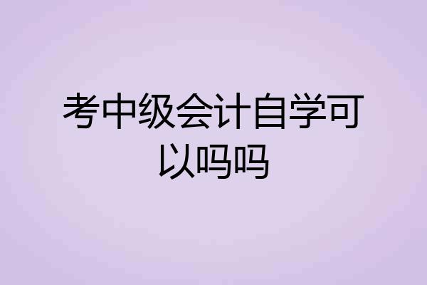 考中级会计自学可以吗吗