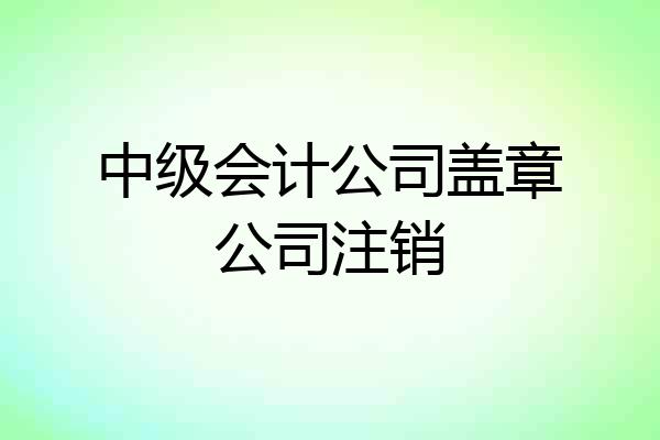 中级会计公司盖章公司注销