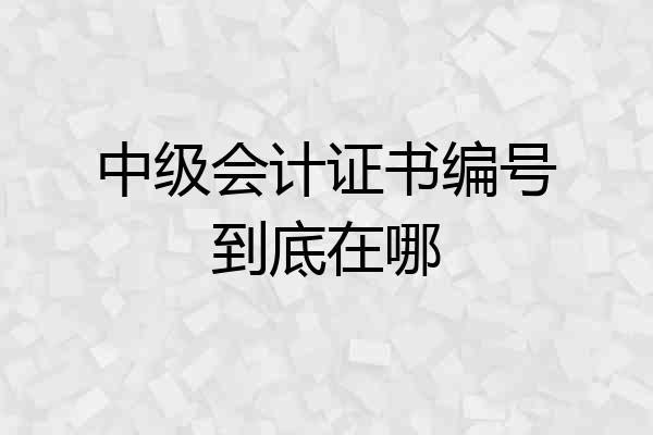 中级会计证书编号到底在哪