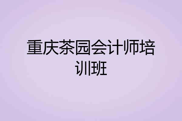 重庆茶园会计师培训班