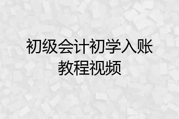 初级会计初学入账教程视频