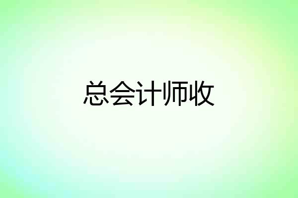 总会计师收