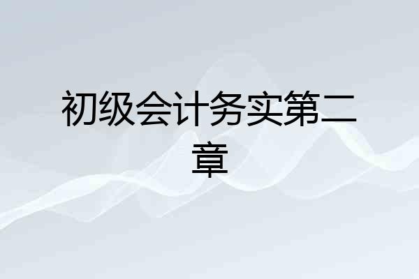 初级会计务实第二章