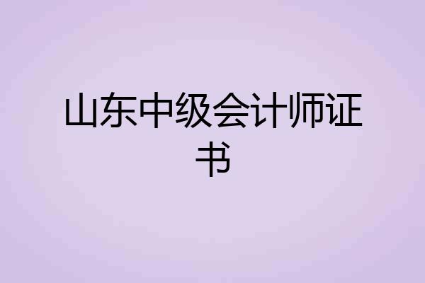 山东中级会计师证书