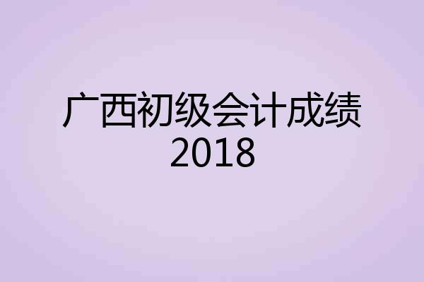广西初级会计成绩2018