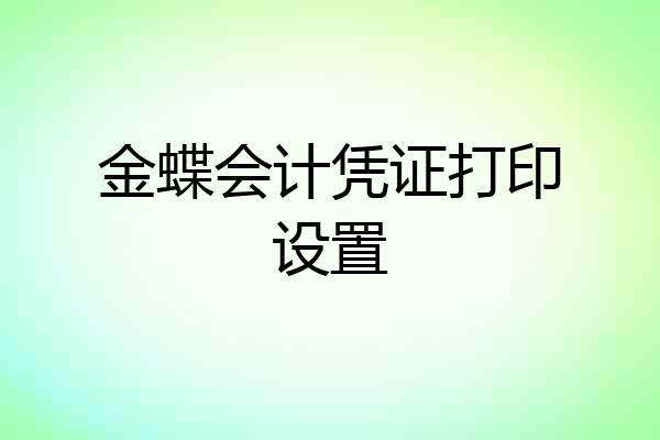 金蝶会计凭证打印设置