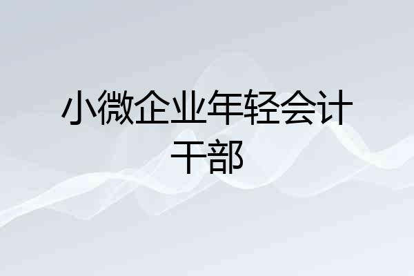 小微企业年轻会计干部