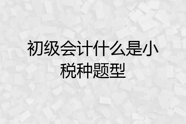 初级会计什么是小税种题型