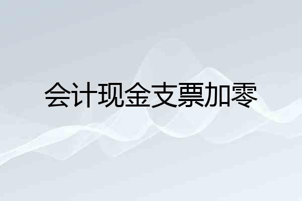 会计现金支票加零