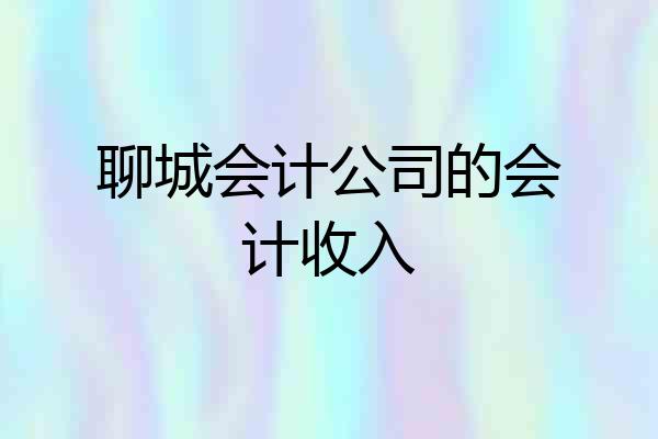 聊城会计公司的会计收入