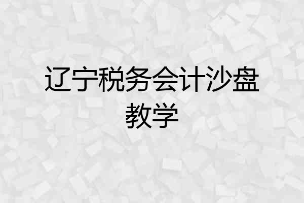 辽宁税务会计沙盘教学