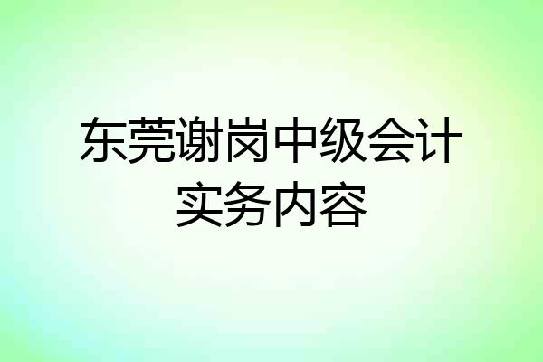 东莞谢岗中级会计实务内容