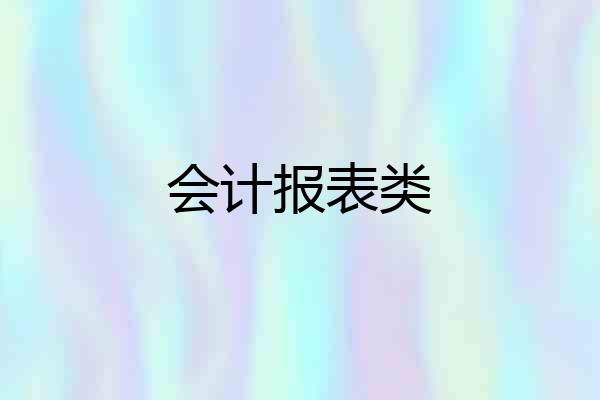 会计报表类