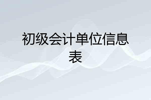 初级会计单位信息表