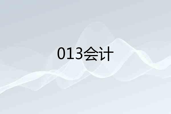 013会计