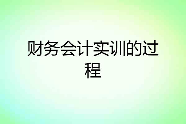 财务会计实训的过程