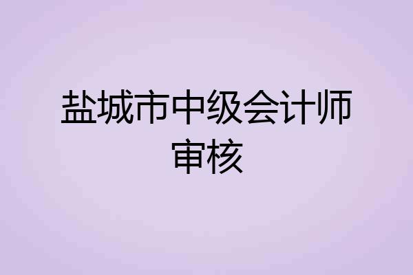 盐城市中级会计师审核