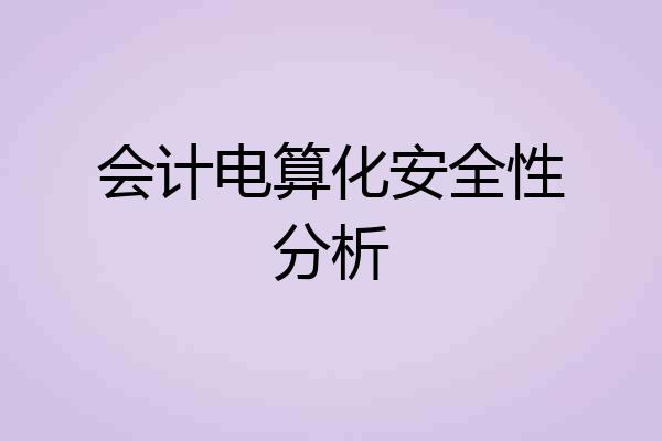 会计电算化安全性分析