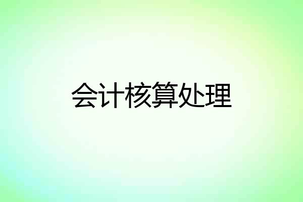 会计核算处理