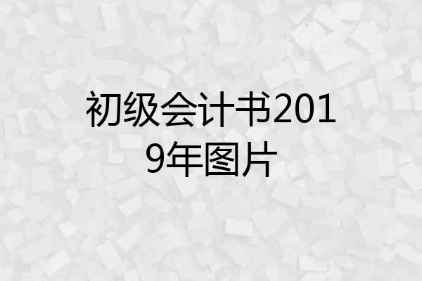 初级会计书2019年图片