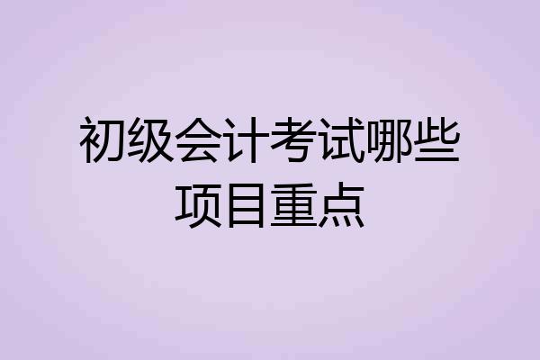 初级会计考试哪些项目重点