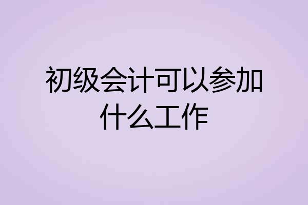 初级会计可以参加什么工作