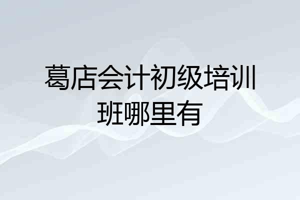 葛店会计初级培训班哪里有