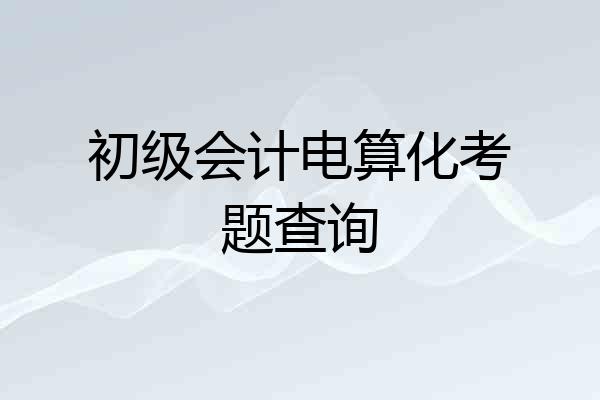 初级会计电算化考题查询