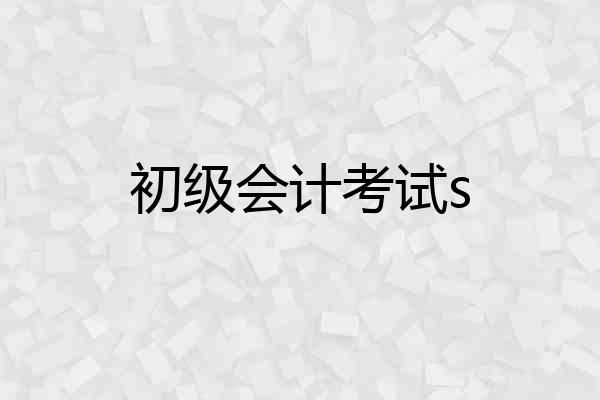 初级会计考试s