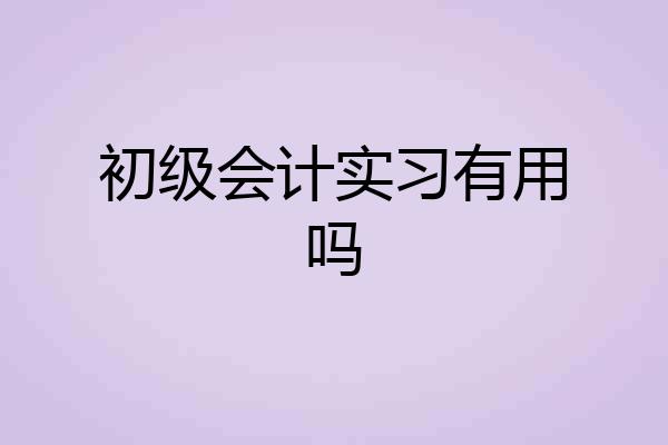 初级会计实习有用吗