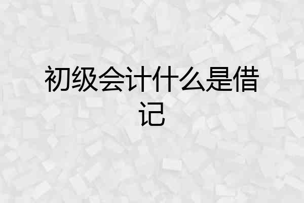 初级会计什么是借记