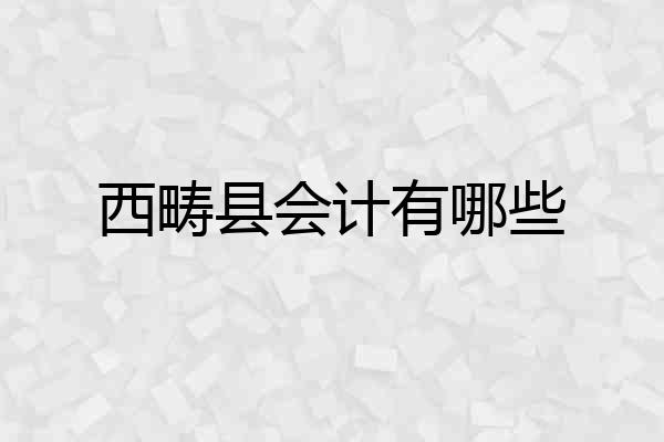 西畴县会计有哪些