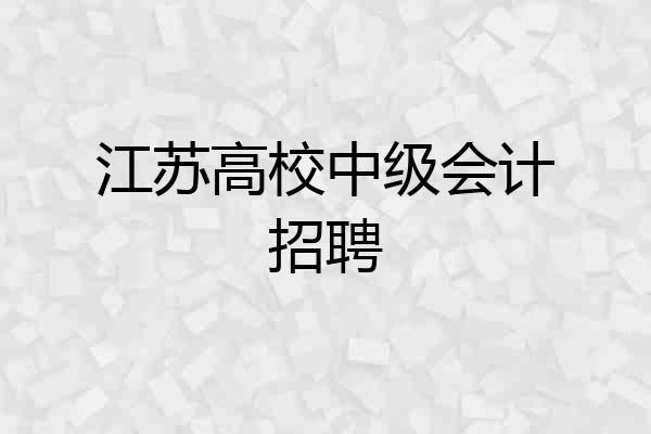 江苏高校中级会计招聘