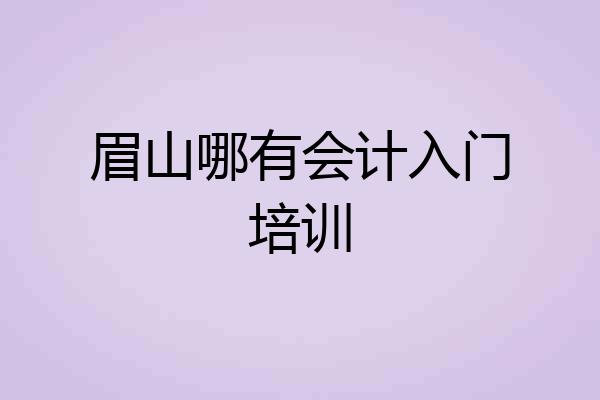 眉山哪有会计入门培训