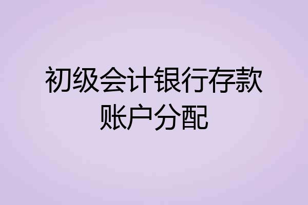 初级会计银行存款账户分配