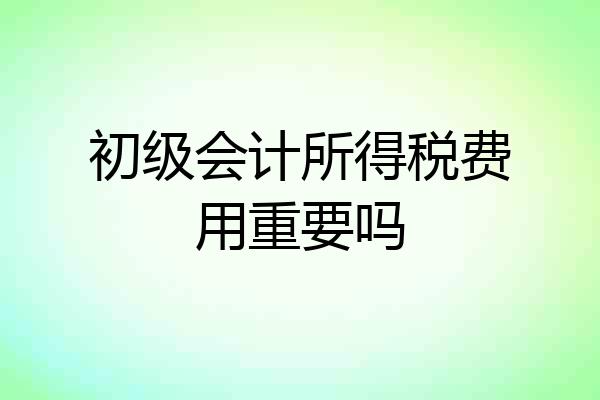 初级会计所得税费用重要吗