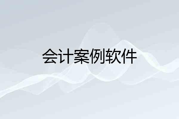 会计案例软件