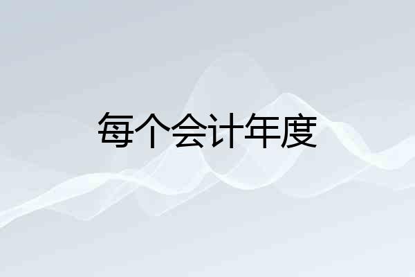 每个会计年度