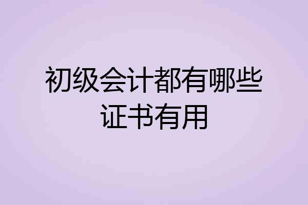 初级会计都有哪些证书有用