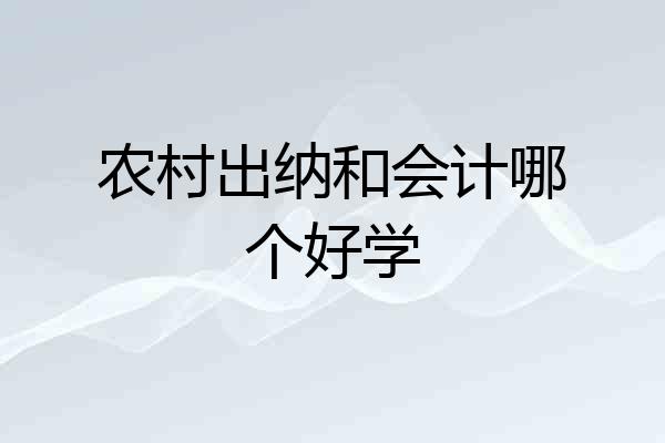 农村出纳和会计哪个好学