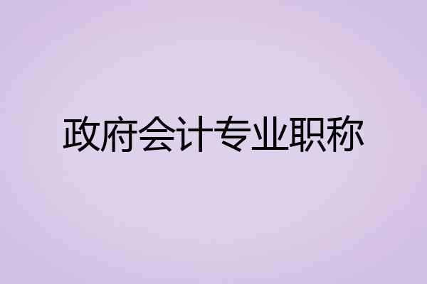 政府会计专业职称