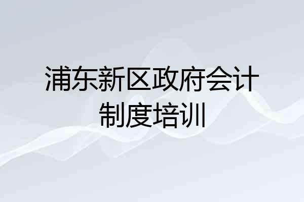 浦东新区政府会计制度培训
